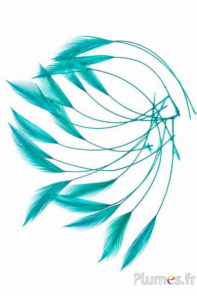 Hahn - 10-15 cm - jade